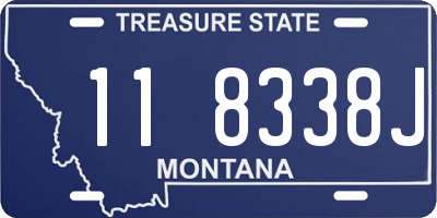 MT license plate 118338J