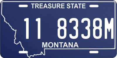 MT license plate 118338M