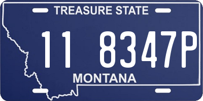 MT license plate 118347P