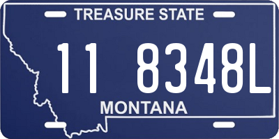 MT license plate 118348L