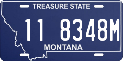 MT license plate 118348M