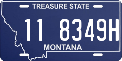 MT license plate 118349H