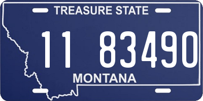 MT license plate 118349O