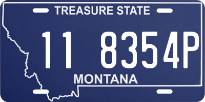 MT license plate 118354P