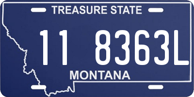 MT license plate 118363L