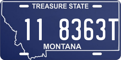 MT license plate 118363T
