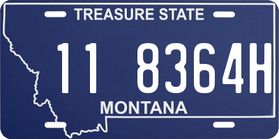 MT license plate 118364H