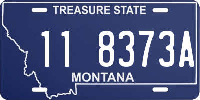 MT license plate 118373A