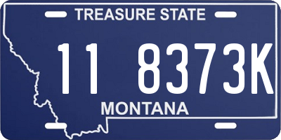 MT license plate 118373K