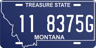 MT license plate 118375G