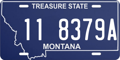 MT license plate 118379A