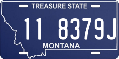 MT license plate 118379J