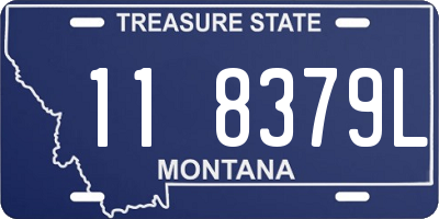 MT license plate 118379L