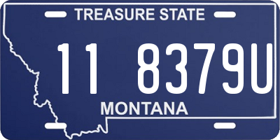 MT license plate 118379U