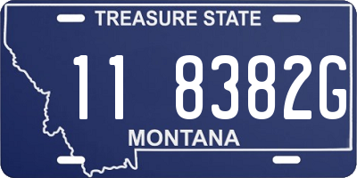 MT license plate 118382G