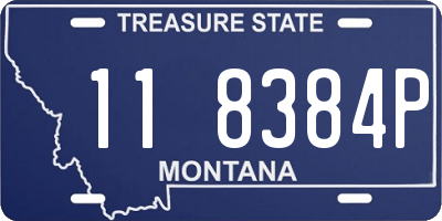 MT license plate 118384P