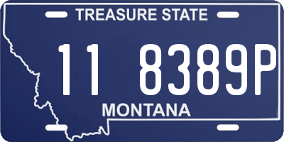 MT license plate 118389P