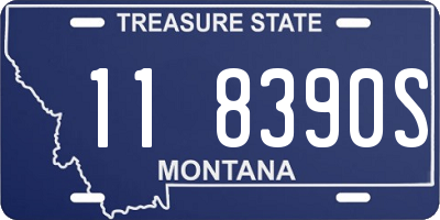 MT license plate 118390S