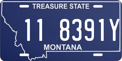 MT license plate 118391Y