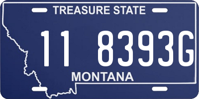 MT license plate 118393G