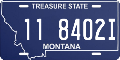 MT license plate 118402I