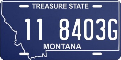 MT license plate 118403G