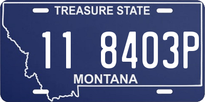 MT license plate 118403P