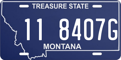 MT license plate 118407G