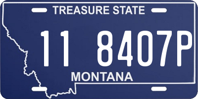 MT license plate 118407P