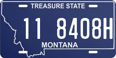 MT license plate 118408H