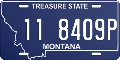 MT license plate 118409P