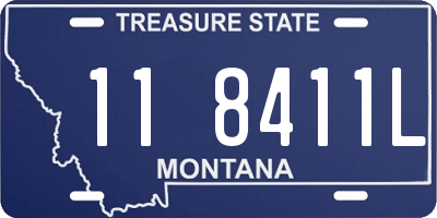 MT license plate 118411L