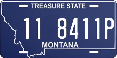 MT license plate 118411P