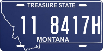 MT license plate 118417H
