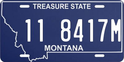 MT license plate 118417M