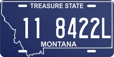 MT license plate 118422L