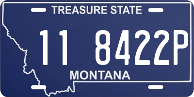 MT license plate 118422P
