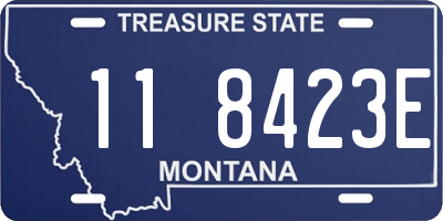MT license plate 118423E