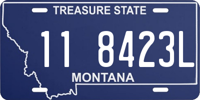 MT license plate 118423L