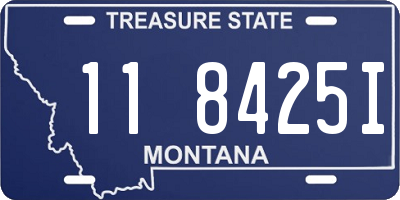 MT license plate 118425I