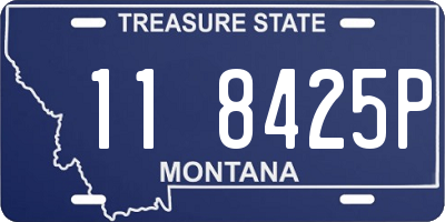 MT license plate 118425P