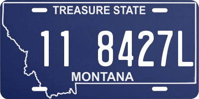 MT license plate 118427L