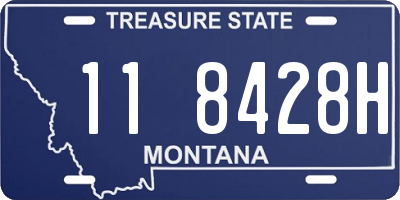 MT license plate 118428H