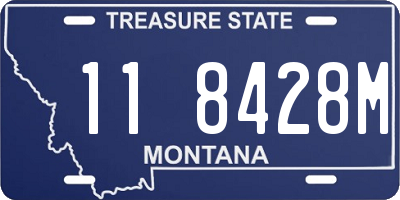 MT license plate 118428M
