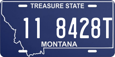 MT license plate 118428T