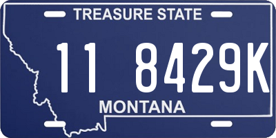 MT license plate 118429K