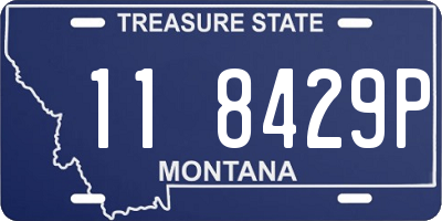 MT license plate 118429P