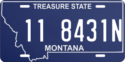 MT license plate 118431N