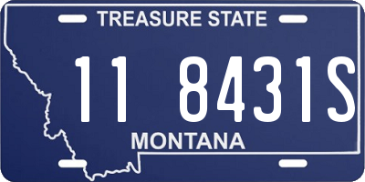 MT license plate 118431S