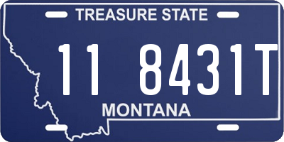 MT license plate 118431T